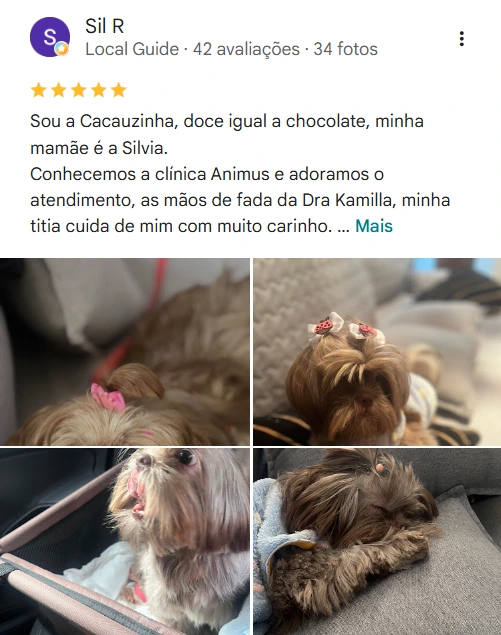 Avaliação no Google
