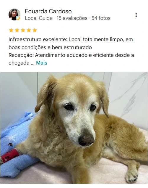 Avaliação no Google