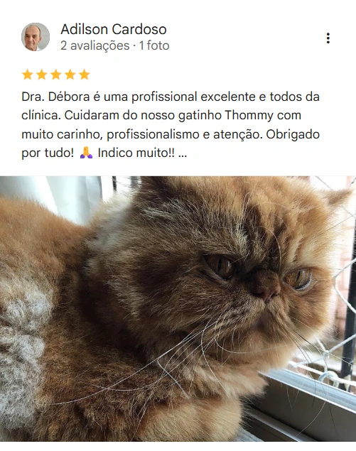 Avaliação no Google