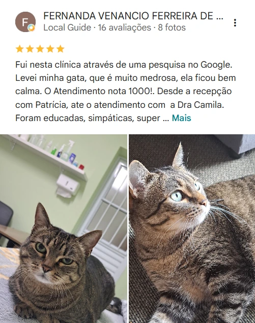 Avaliação no Google
