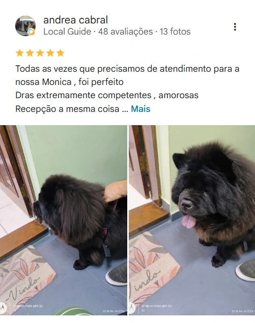 Avaliação no Google