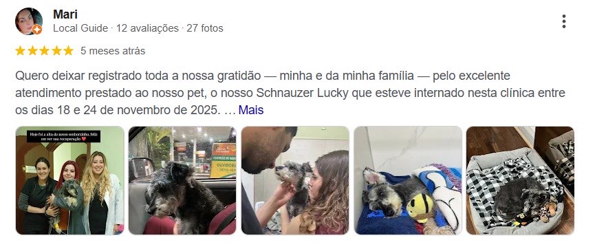 Avaliação Mari no Google