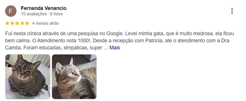 Avaliação Fernanda Venancio no Google