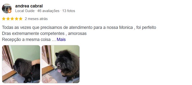 Avaliação Andrea Cabral no Google